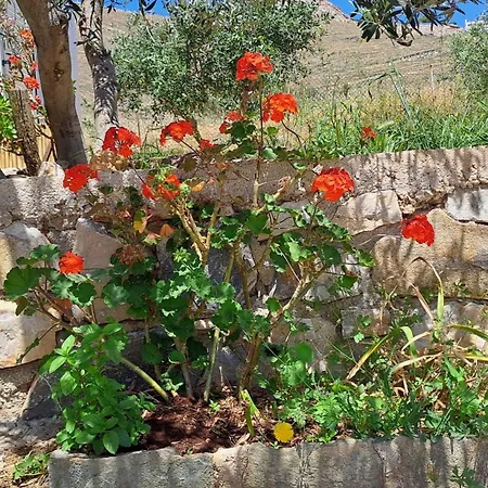 Mandala Holiday home Ano Syros