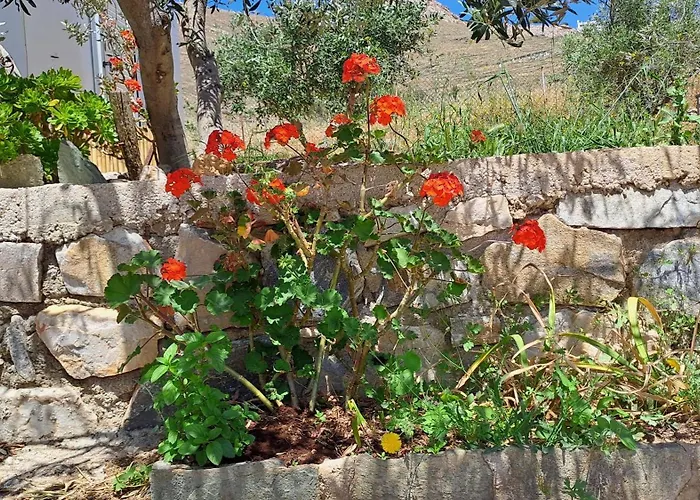 Syros Mandala * Soros