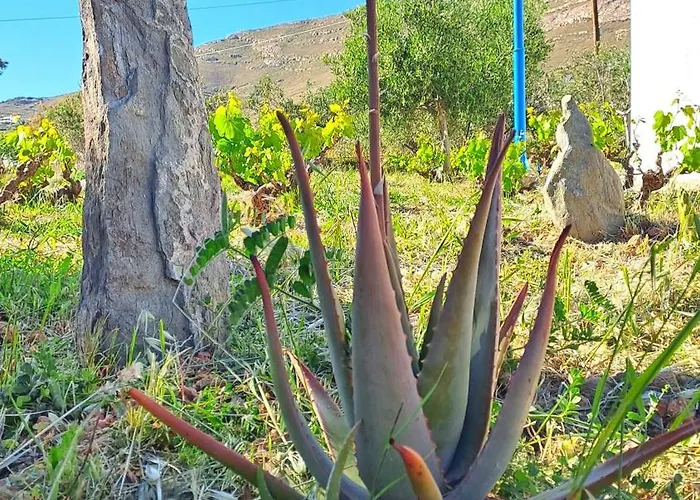 Mandala Hébergement de vacances Áno Sýros